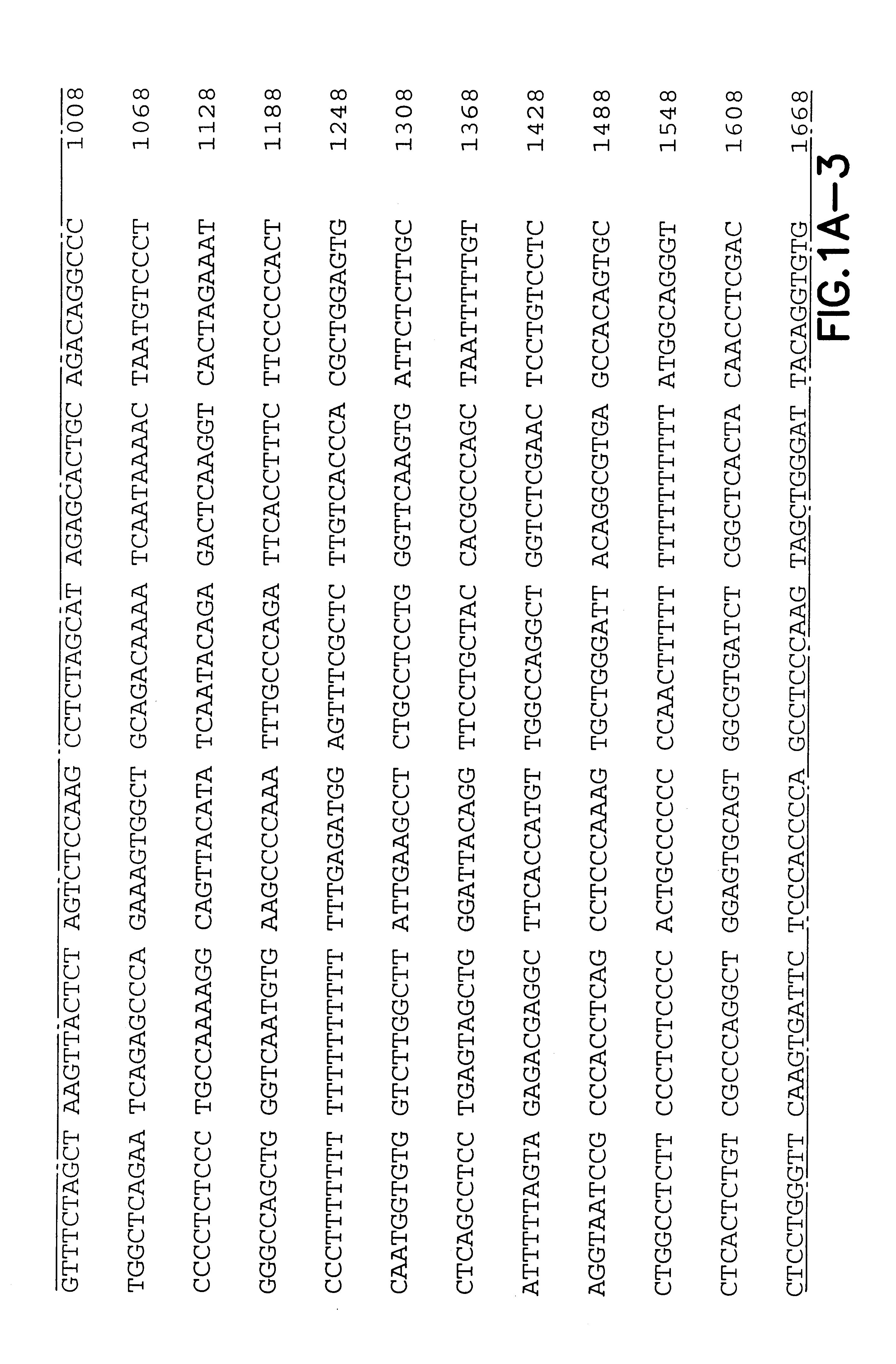 Immuno-modulating effects of chemokines in DNA vaccination