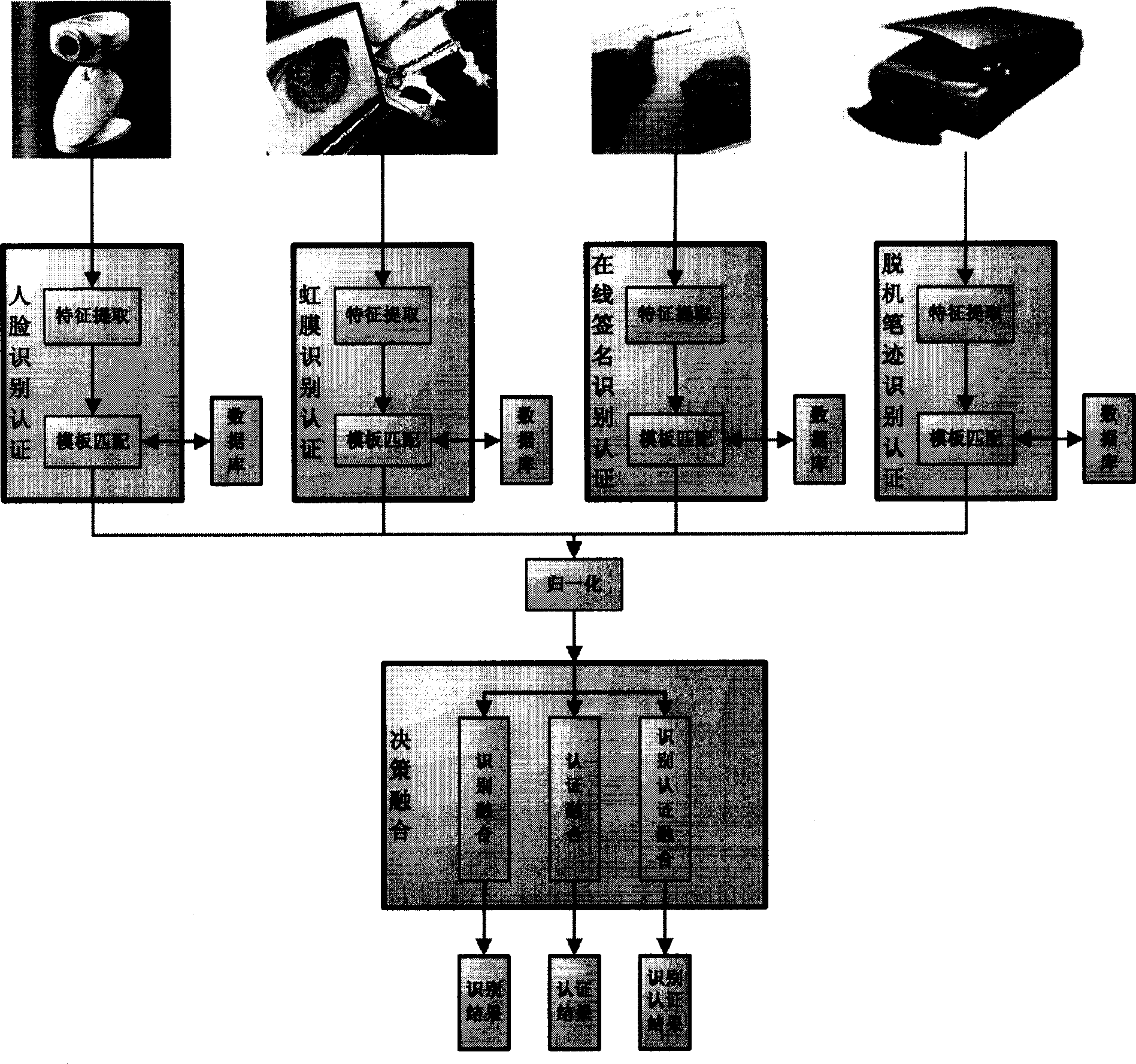 Biocharacteristics fusioned identity distinguishing and identification method