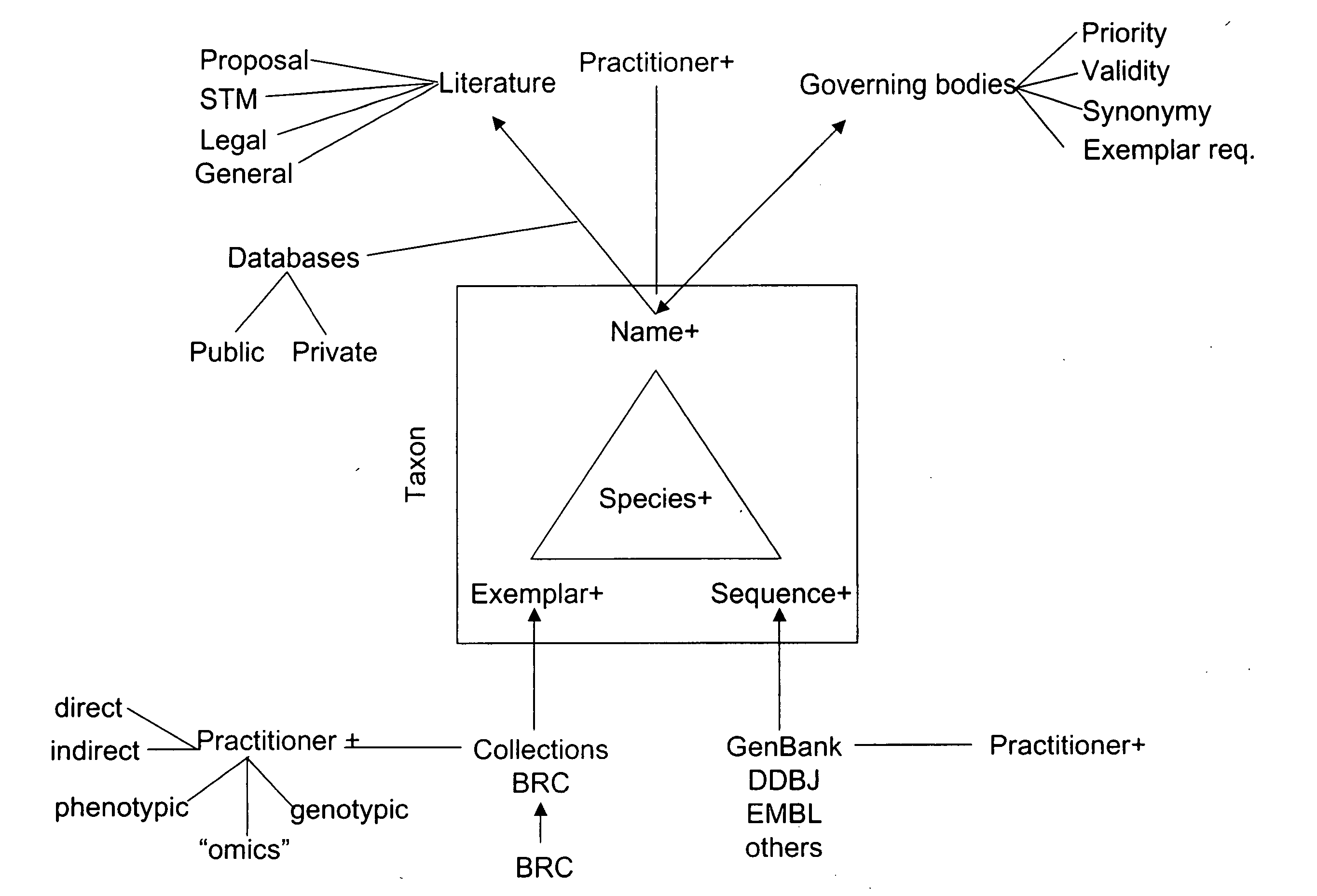 Systems and methods for resolving ambiguity between names and entities