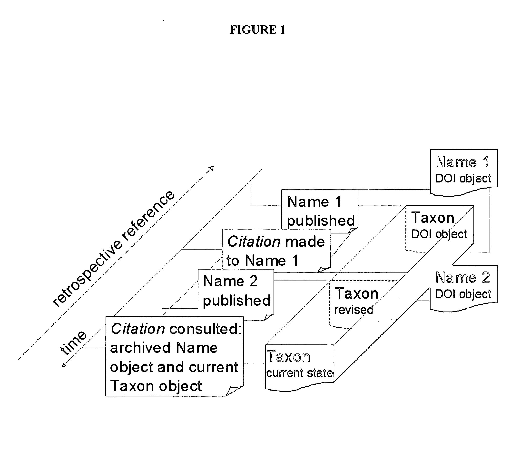 Systems and methods for resolving ambiguity between names and entities