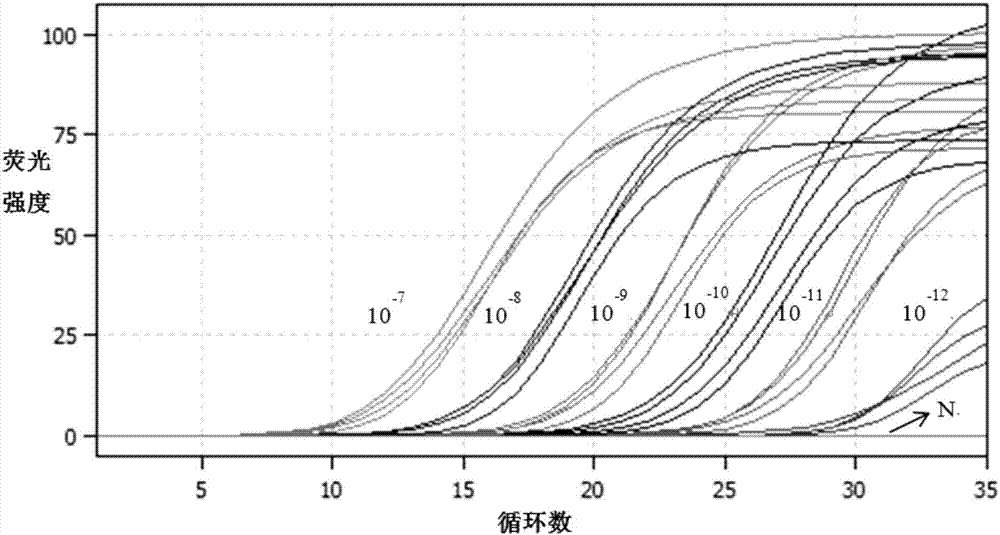 Primer for simultaneously detecting pasteurellamultocida and capsular A type dual real-time fluorescentquantitative PCR method of pasteurellamultocida and application