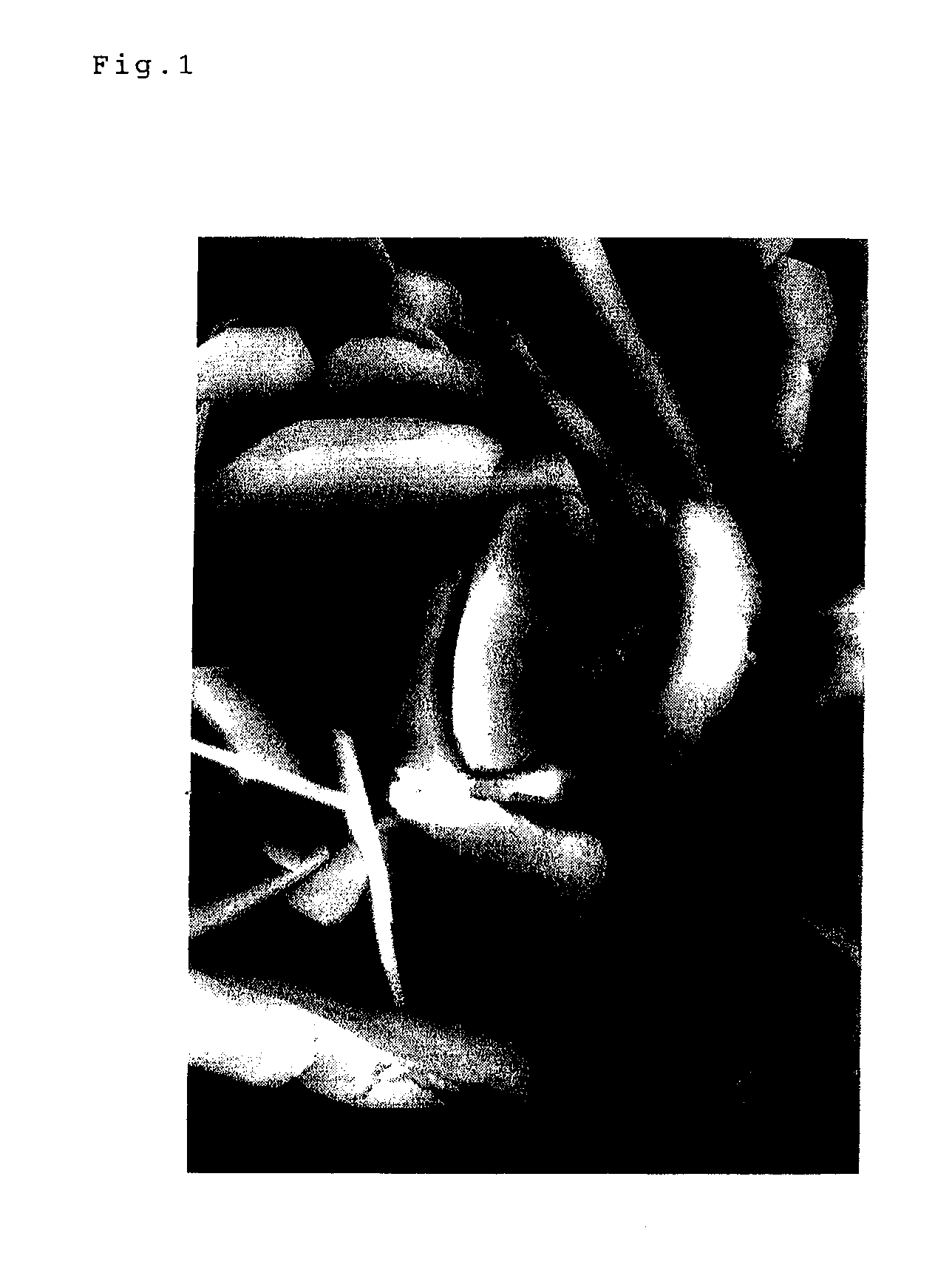 Basic metal nitrate, process for producing the same and gas generating agent composition