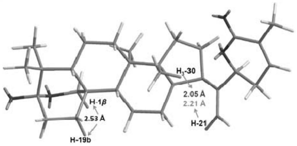 Dammarane type triterpene compound and application in preparation of medicine for treating cardiovascular diseases