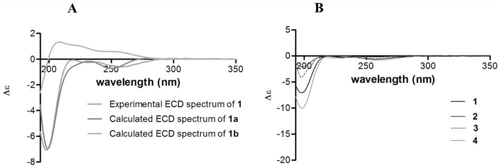 Dammarane type triterpene compound and application in preparation of medicine for treating cardiovascular diseases