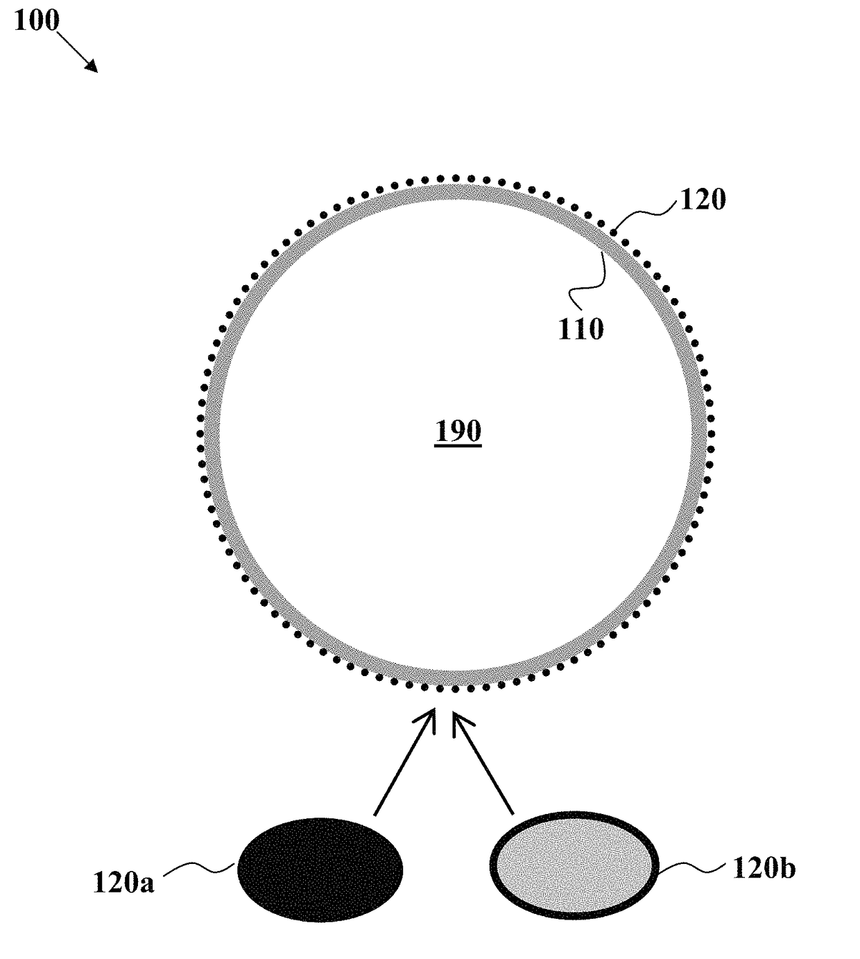 Nanoparticle-coated multilayer shell microstructures