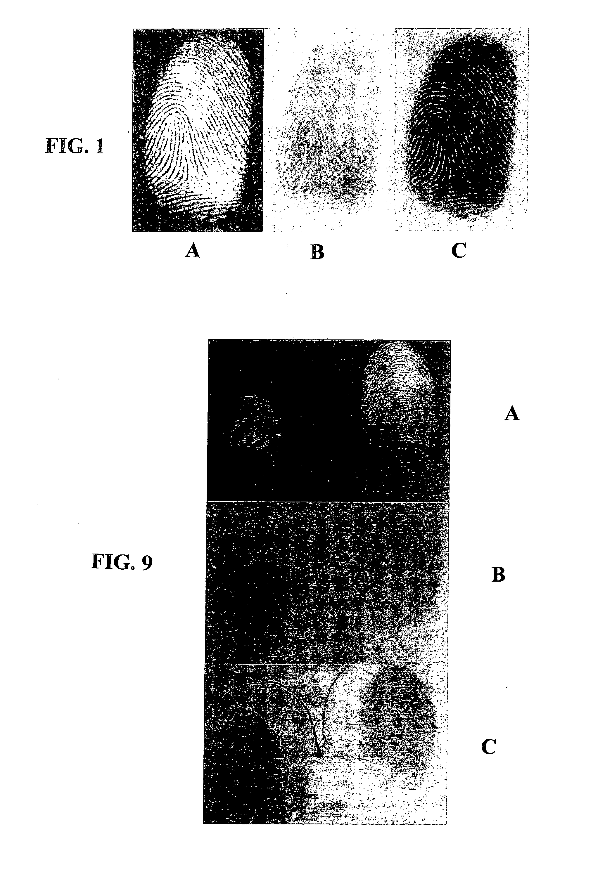 Method of Developing Latent Fingerprints