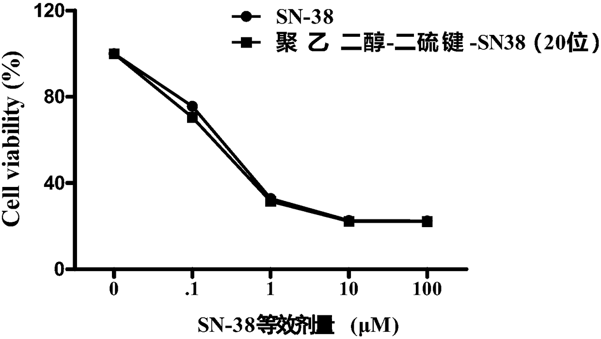 Amphiphilic polymer prodrug for reducing responsive 7-ethyl-10-hydroxycamptothecine and preparation method thereof