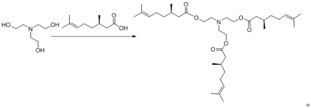 A processing process of a maternal liquid pigmentation during the production of magnesium sulfate