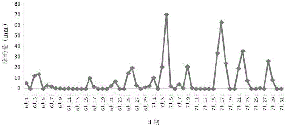 Harmonious seeding time/density cultivation method for corn-soybean strip relay intercrops