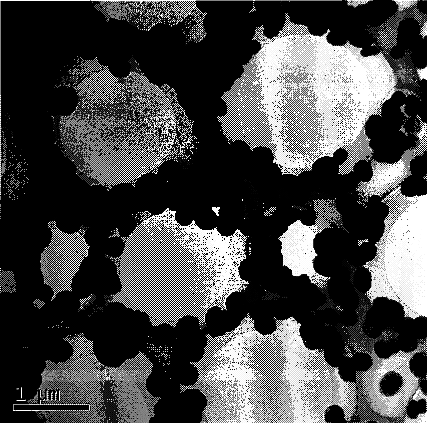 Method for preparing chain shaped barium fluoride nanospheres with DNA as mould plate