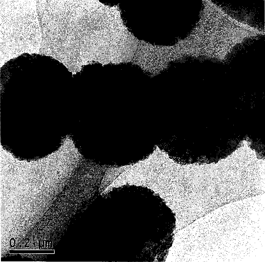 Method for preparing chain shaped barium fluoride nanospheres with DNA as mould plate