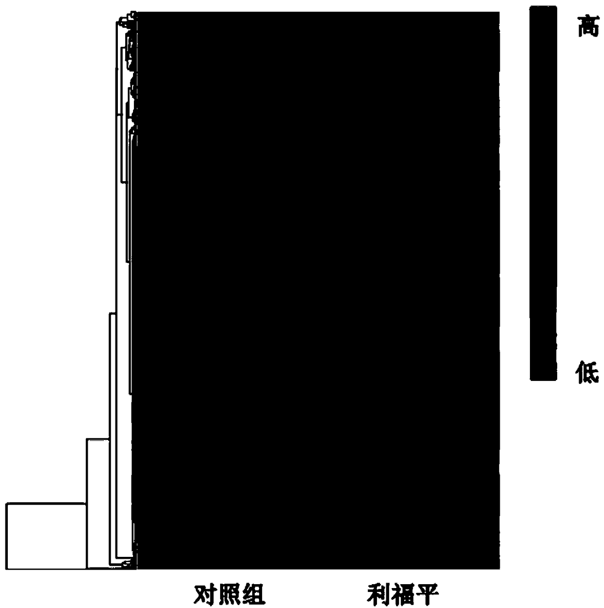 Rifampicin tolerance diagnosis marker for mycobacterium tuberculosis and application of rifampicin tolerance diagnosis marker