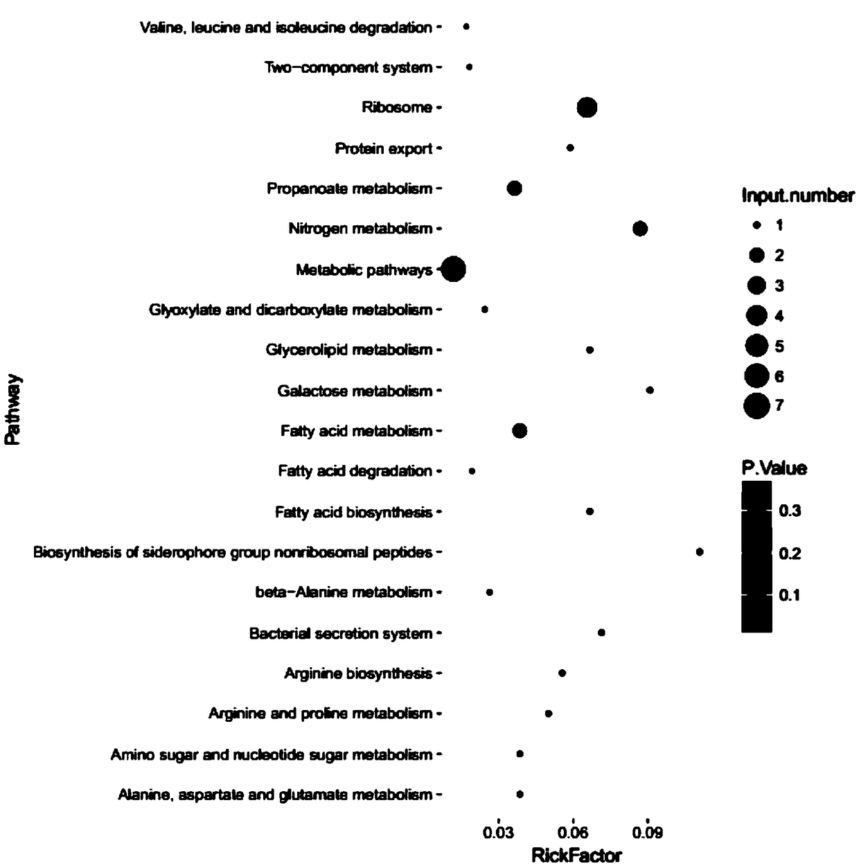 Rifampicin tolerance diagnosis marker for mycobacterium tuberculosis and application of rifampicin tolerance diagnosis marker