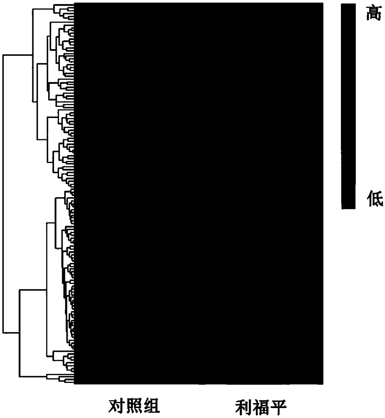 Rifampicin tolerance diagnosis marker for mycobacterium tuberculosis and application of rifampicin tolerance diagnosis marker