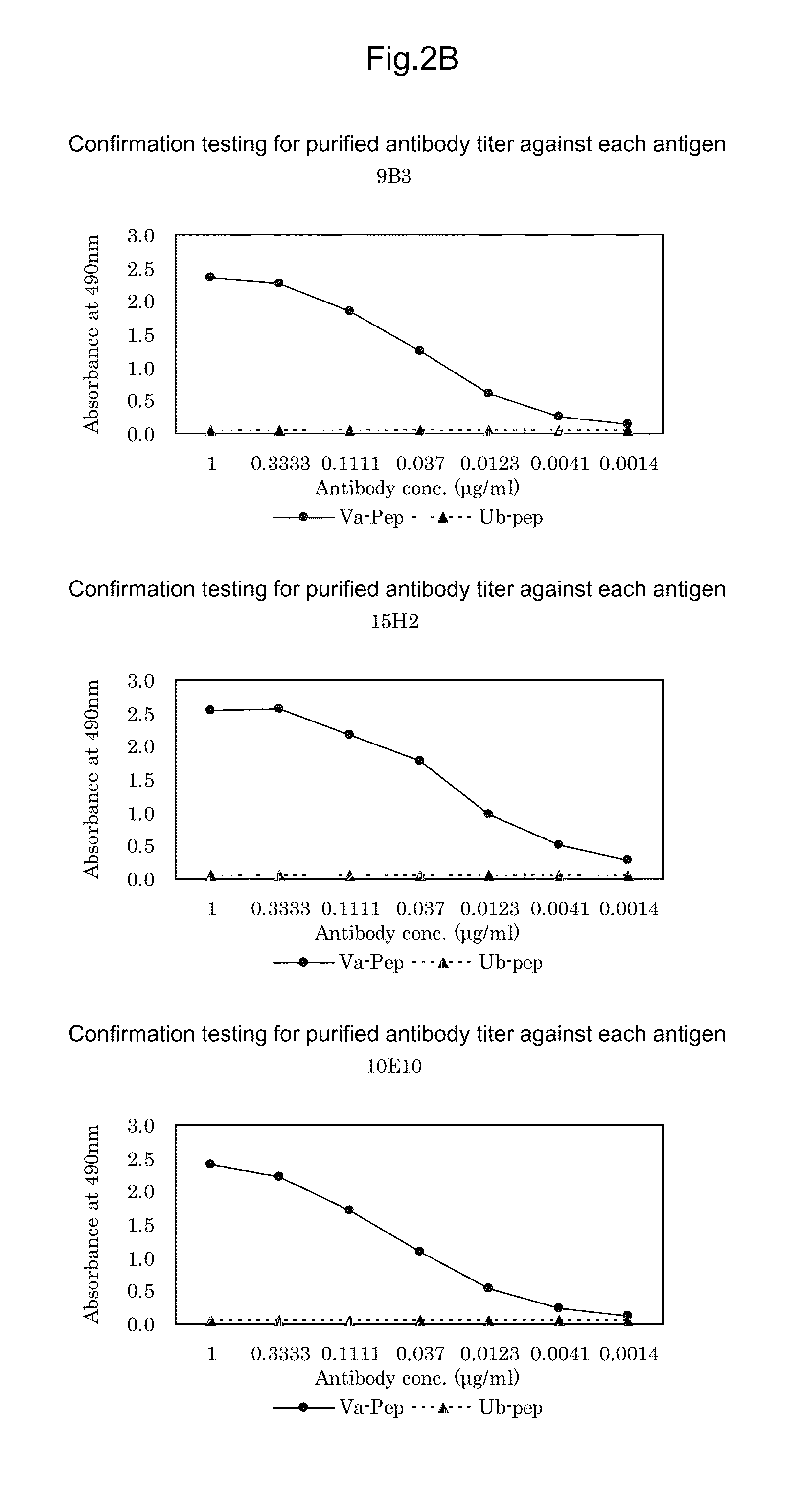 Antibody against mutant alpha-actinin-4