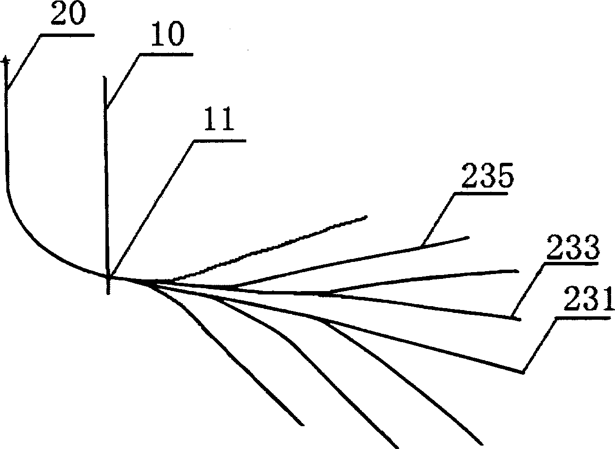 Distributed structure of horizontal section of multi-branch horizontal coal bed methane well