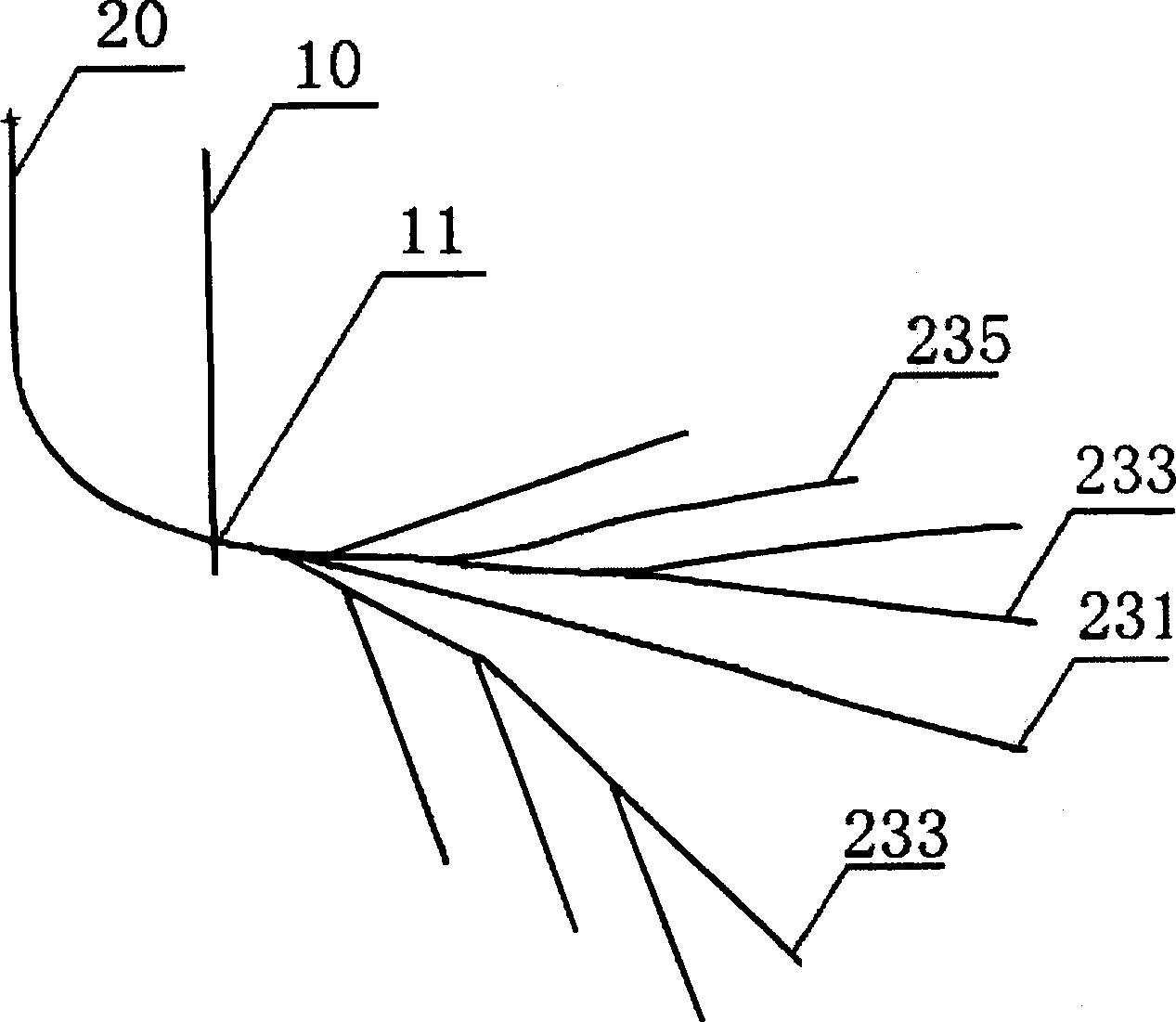 Distributed structure of horizontal section of multi-branch horizontal coal bed methane well