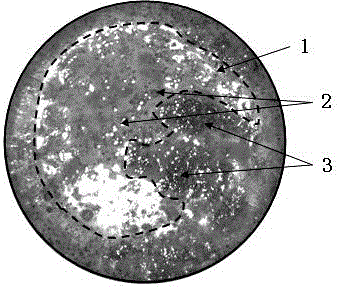 A method for separating amphoteric metals in waste circuit board powder