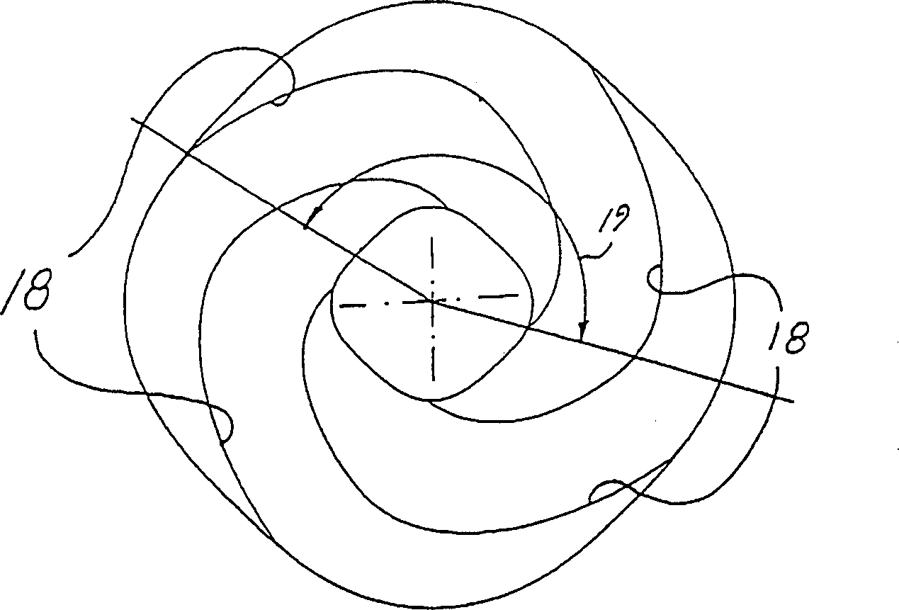 Rotary piston machine