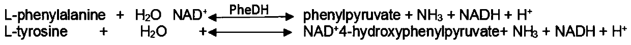 Method for detecting content of phenylalanine and tyrosine by enzyme method, and application thereof