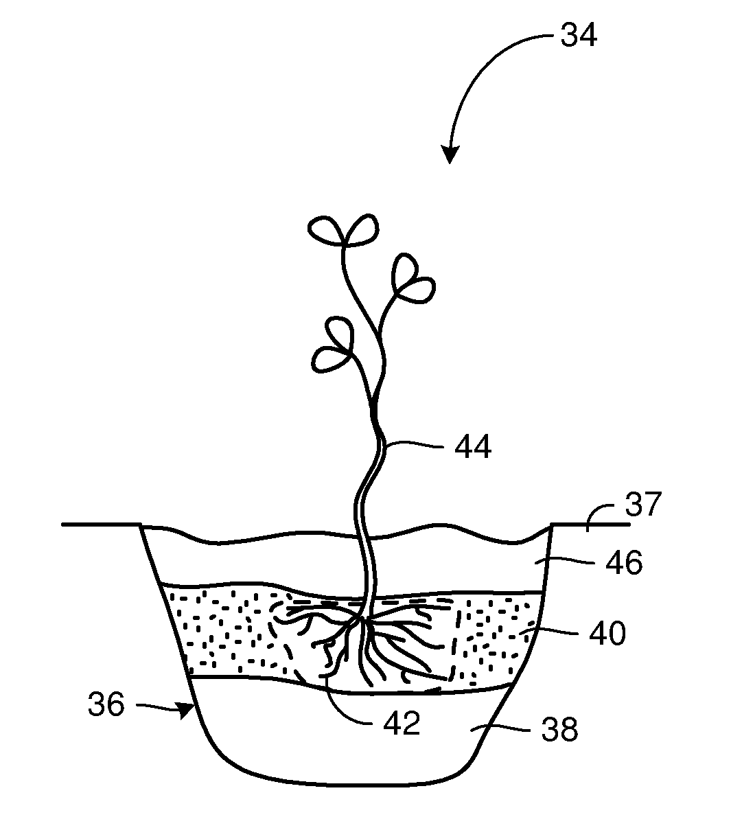 Hydration maintenance apparatus and method