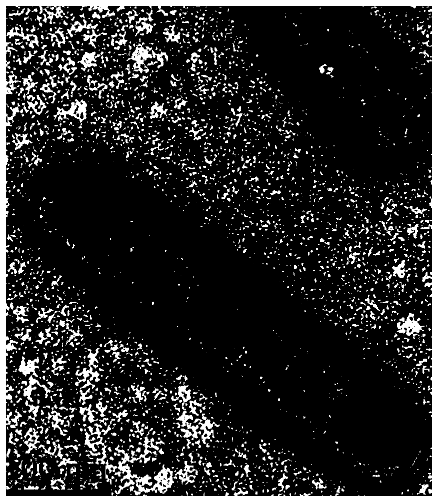 Method for detecting carbamate pesticide based on CdTe quantum dot paper chip substrate