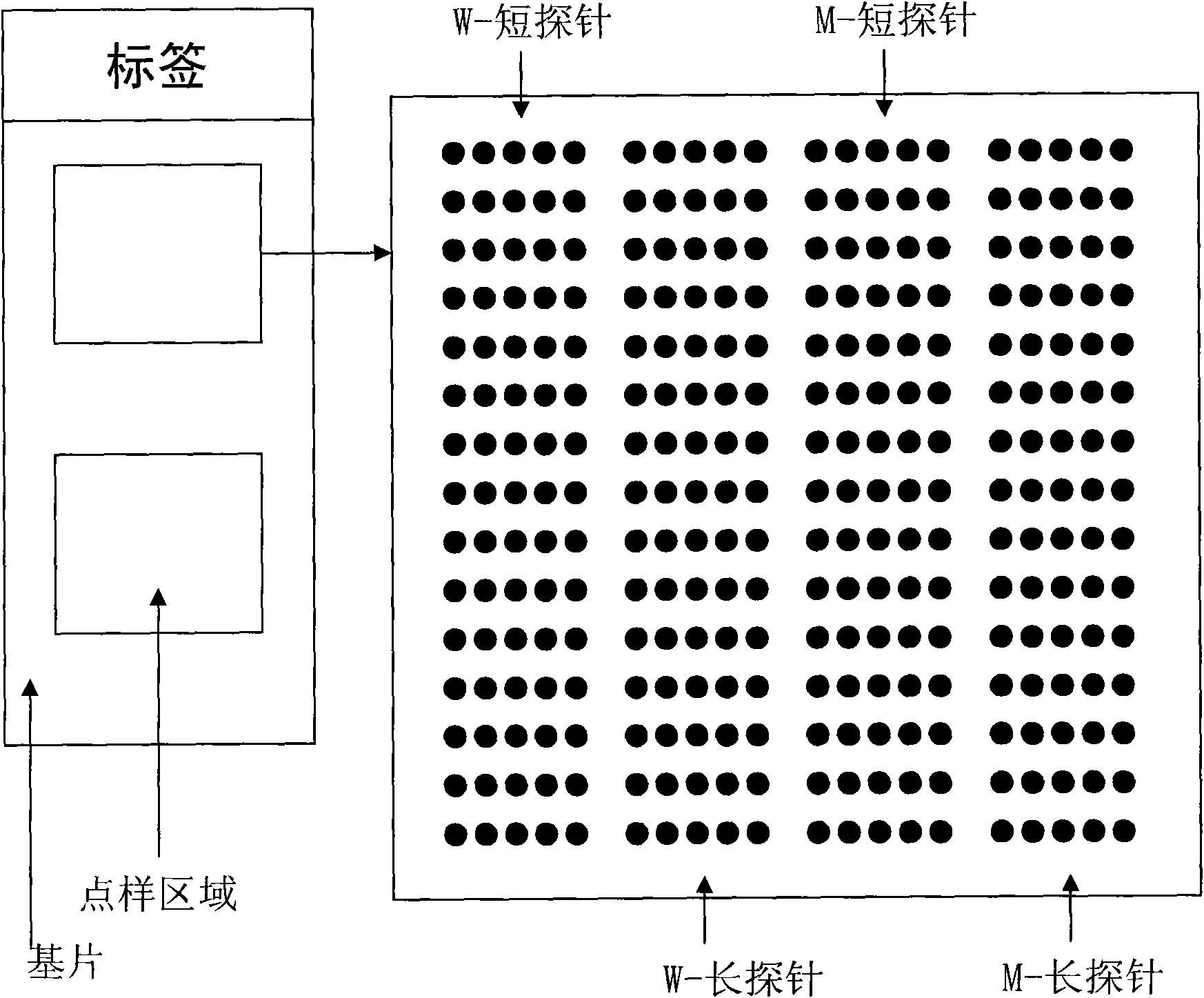 Method for detecting related gene mutations of diabetes drug treatment as well as special chip and kit thereof