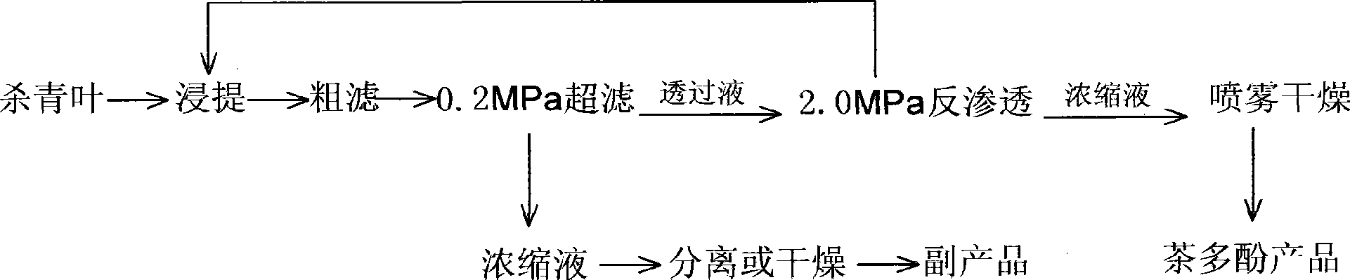 Process for extracting tea polyphenol in tea