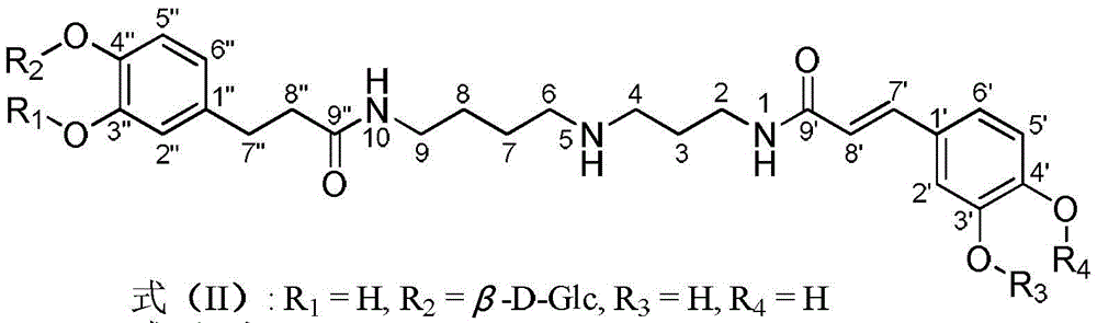 Dicaffeoyl-spermidine cyclization derivative glycoside and application thereof