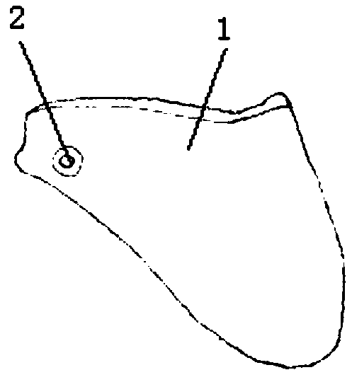 Posterior column screw guiding plate and manufacturing method thereof