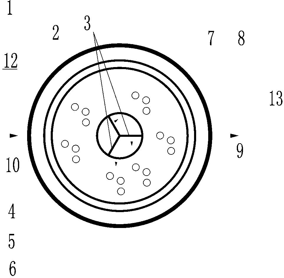 Distributed sewage treatment device with septic tank function