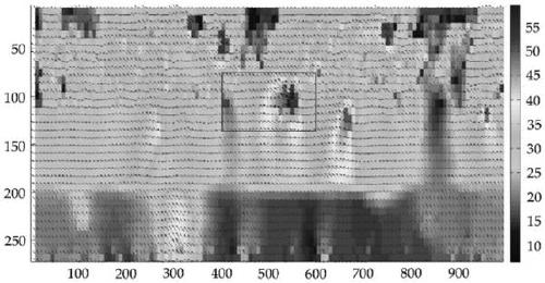 Improved PIV-based horizontal oil-water two-phase flow velocity measurement method