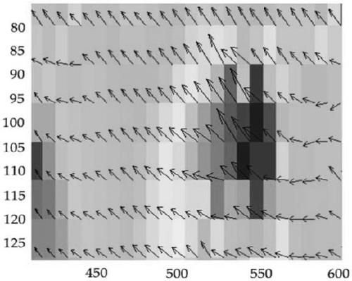 Improved PIV-based horizontal oil-water two-phase flow velocity measurement method