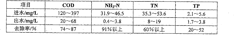 Treatment method for biological nitrogen removal of reinforced sewage