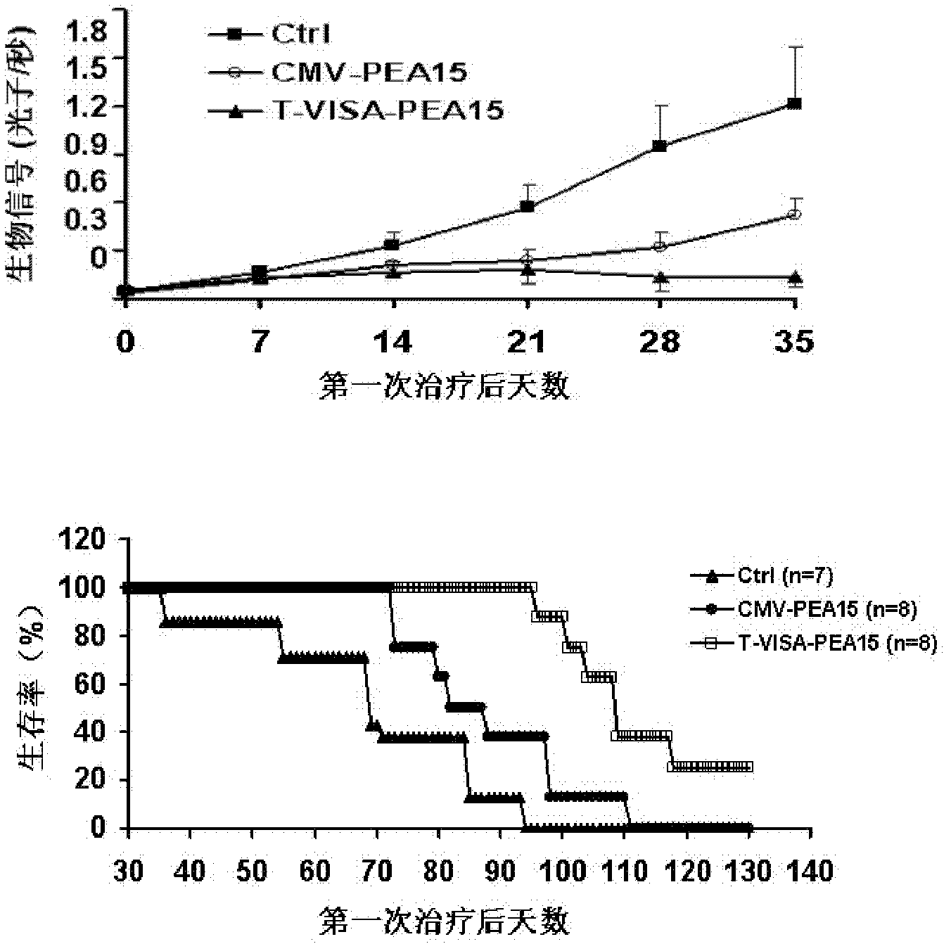 Medicine T-VISA-PEA15 capable of effectively and specifically killing breast cancer cells