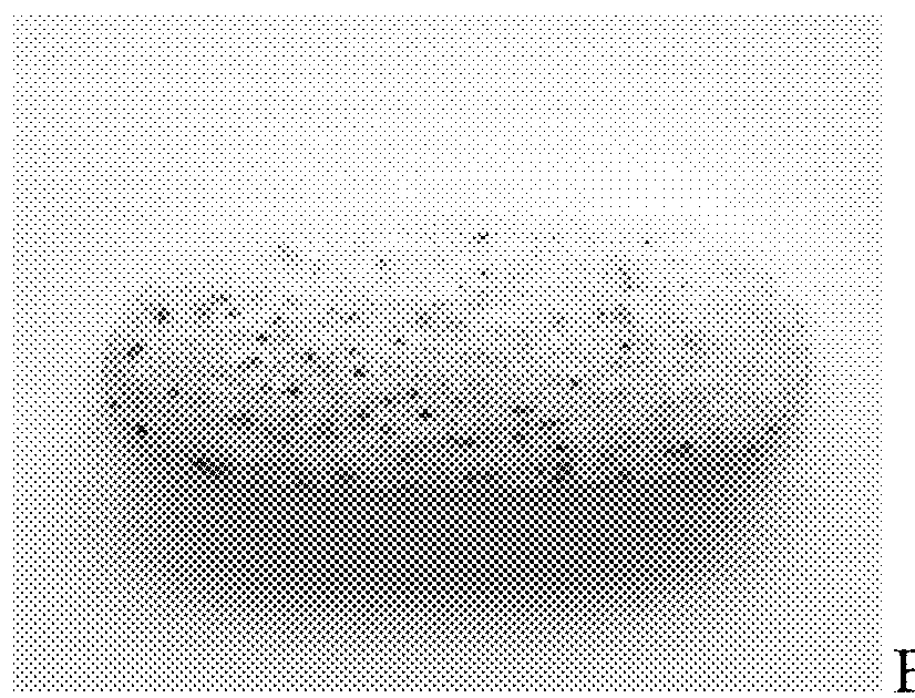 Uniquely identifiable drug dosage form units