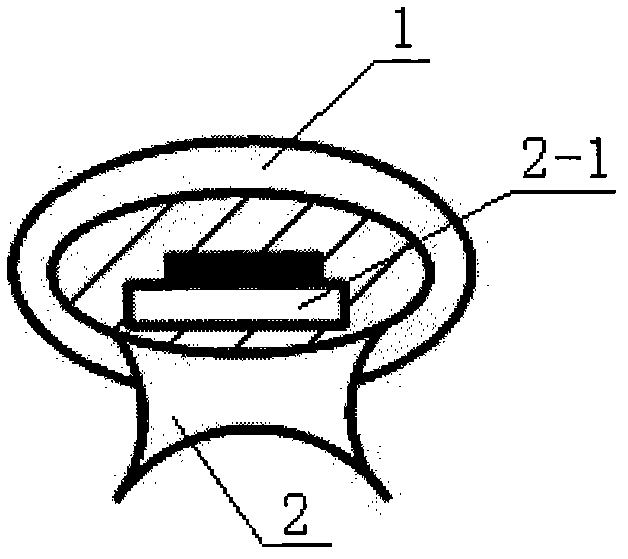 Wireless recorder for detecting human gastrointestinal motility