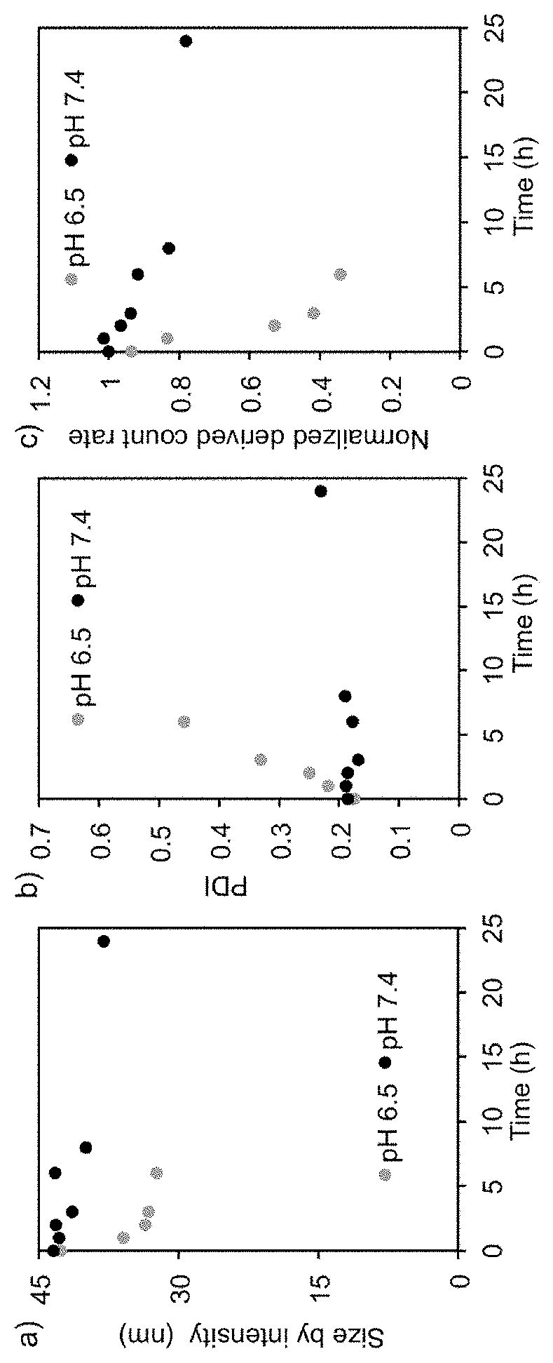 Protein-enclosing polymeric micelle