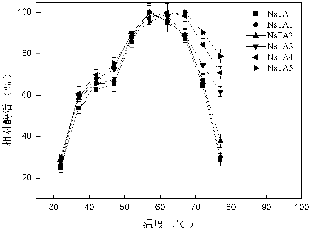 Alpha-aminopherase and mutant and application of alpha-aminopherase and mutant to asymmetric synthesis of L- glufosinate-ammonium