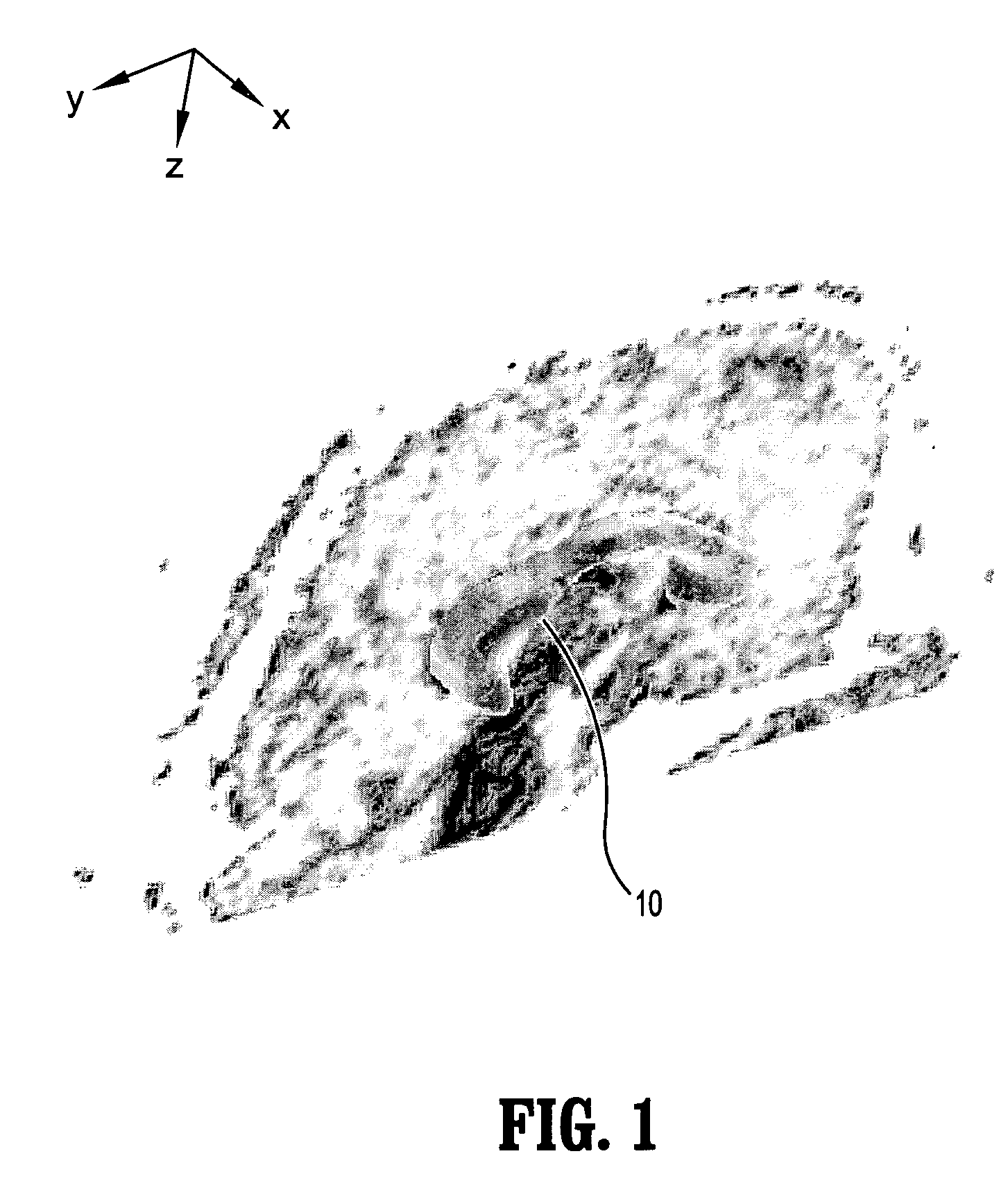 System and method for fast tensor field segmentation