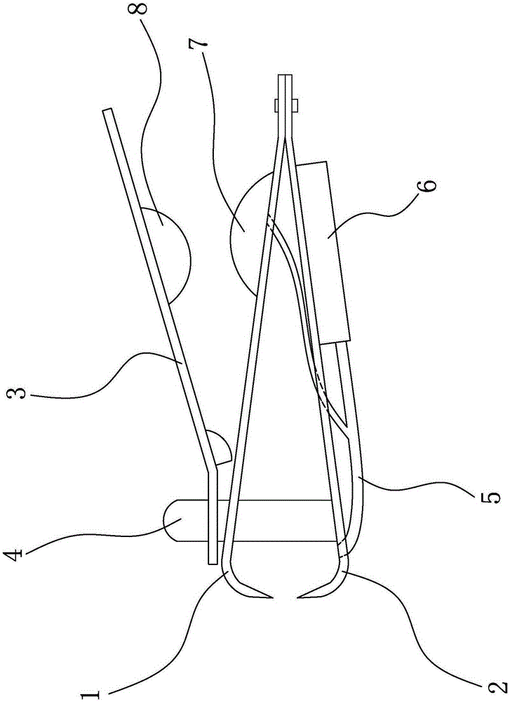 Nail clippers capable of automatically collecting clippings