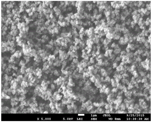 Absorption agent for repairing water polluted by cadmium and preparation method of absorption agent