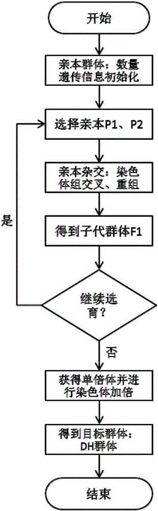 A Crop Virtual Breeding Method Based on Plant Function and Structure Model