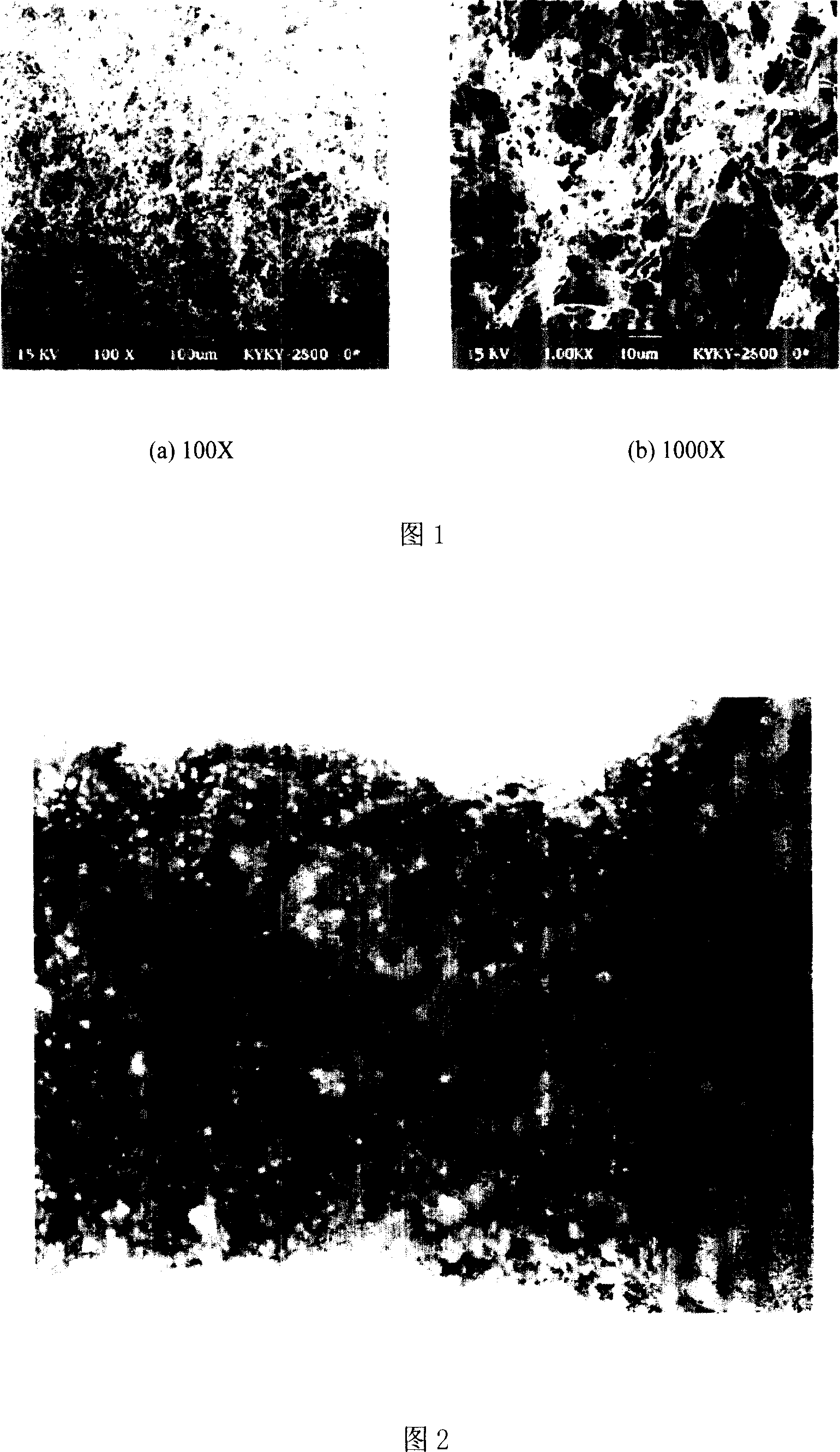 Organism single layer protecting metal-group foam material, and its preparing method