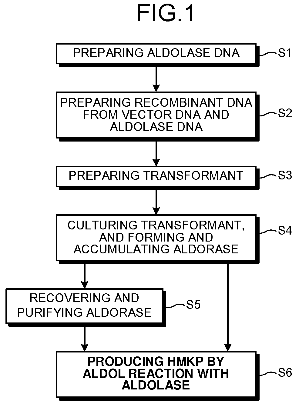 Novel aldolase and production process of 4-hydroxy-l-isoleucine