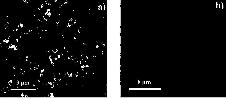 Dendritic macromolecule-copolymer cell capturing material as well as preparation method and application thereof