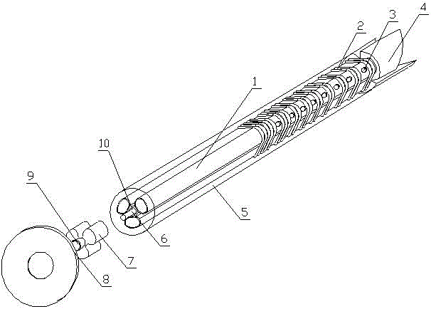 Device and method for supporting downhole surrounding rock faults