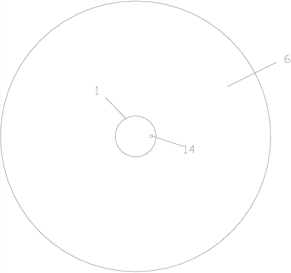 Automatic free-range chicken feeding device