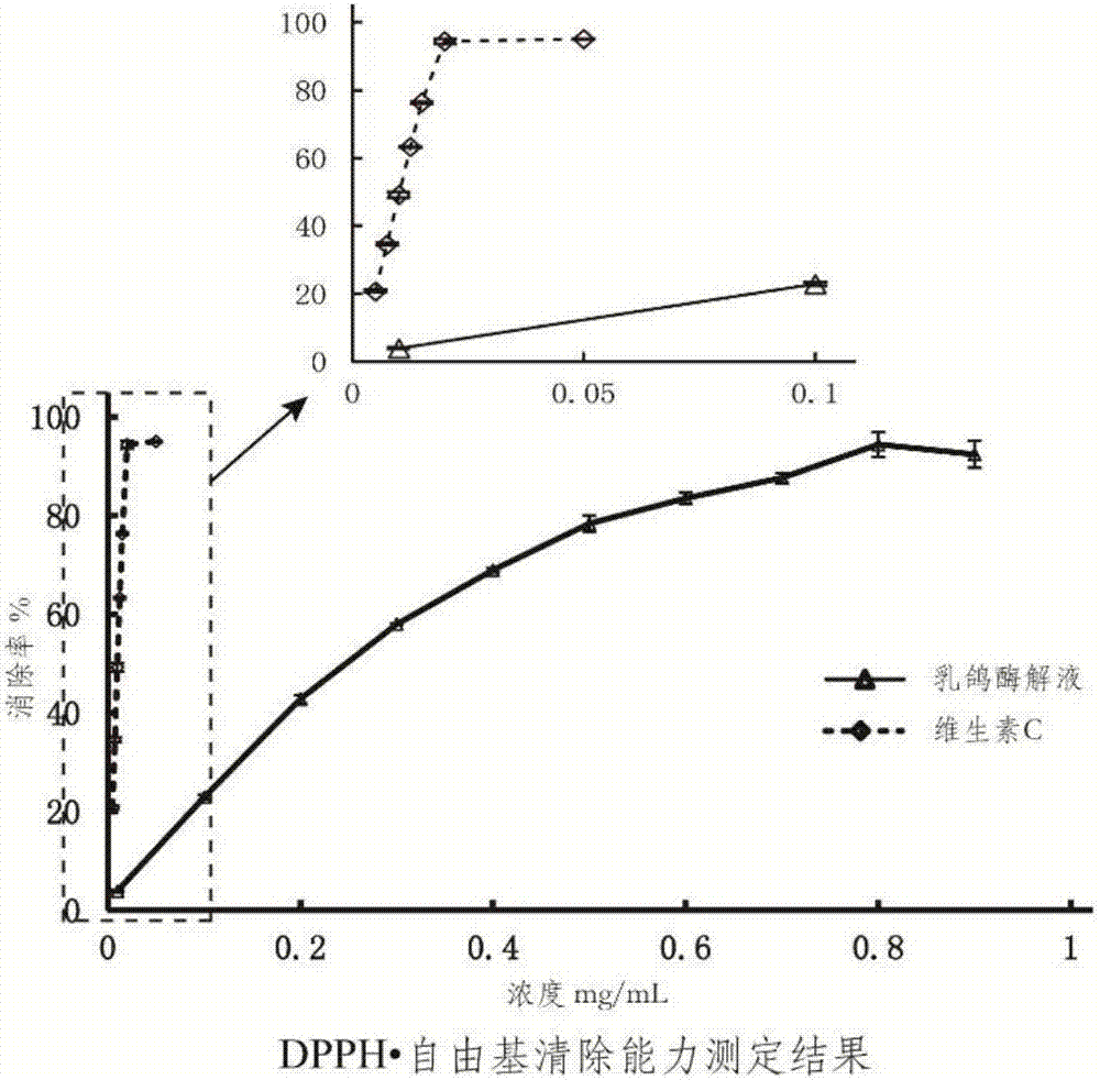 Squab amino acid oral liquid, preparation method and application thereof