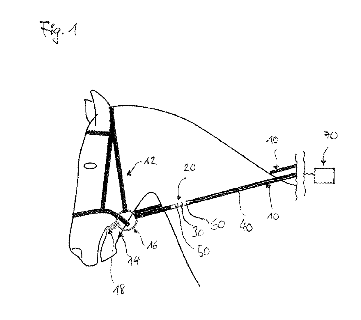 Method and apparatus for evaluating the quality of characteristics of motion of an animal-human-dyad